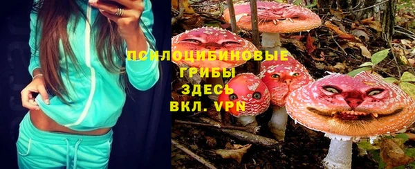 первитин Инта