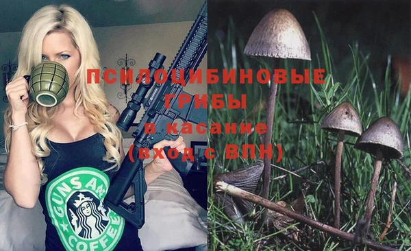 гидра Иннополис