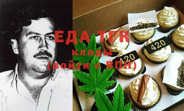 ГАЛЛЮЦИНОГЕННЫЕ ГРИБЫ Лагань