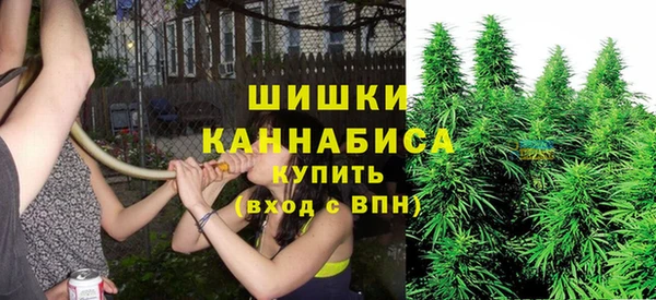 первитин Инта